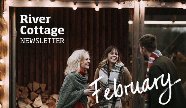february-newsletter-header