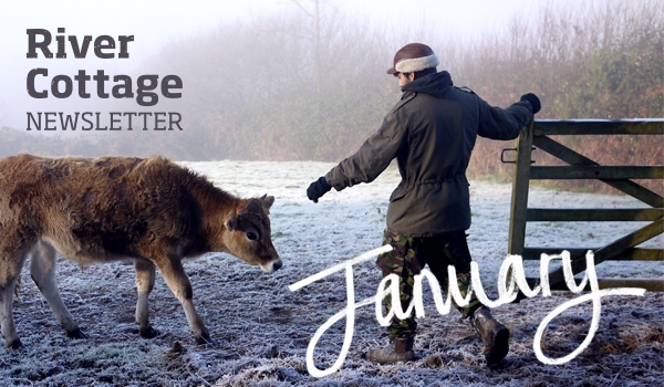 january-newsletter-header