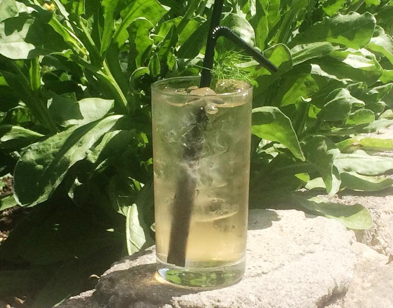 Wild fennel vodka & tonic River Cottage