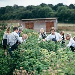 courses-152051944664152121