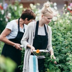 rc-exp-151861283967244081