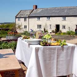 summer-square-152535970108744031