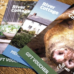 voucheremailbanner-15186128051362431